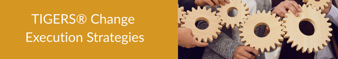 TIGERS® Change Execution Strategies