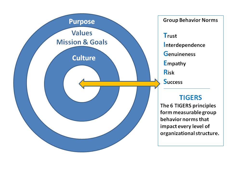 The TIGERS 6 Principles Deliver Psychological Safety to High Performance Teams