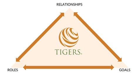 TIGERS facilitates roles, goals and relationships