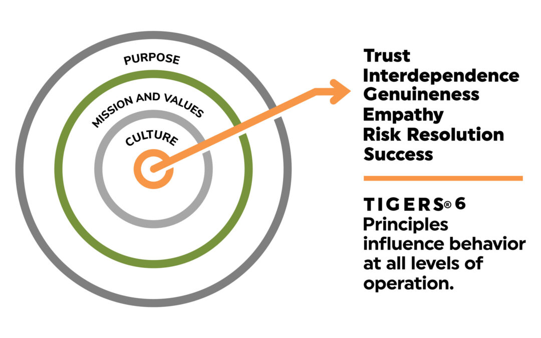 Why Lone Wolves Stall and Interdependence Drives Real Team Success